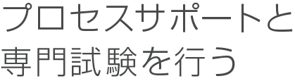 プロセスサポートと専門試験を行う