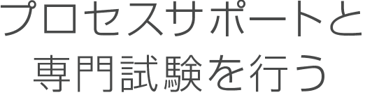 プロセスサポートと専門試験を行う