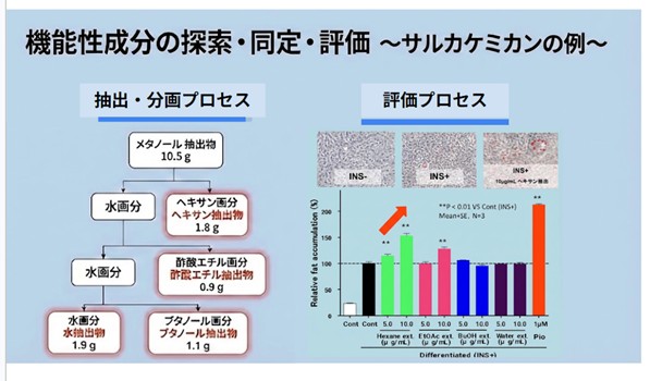 機能性成分の探索・同定・評価例①　～サルカケミカン編～の画像